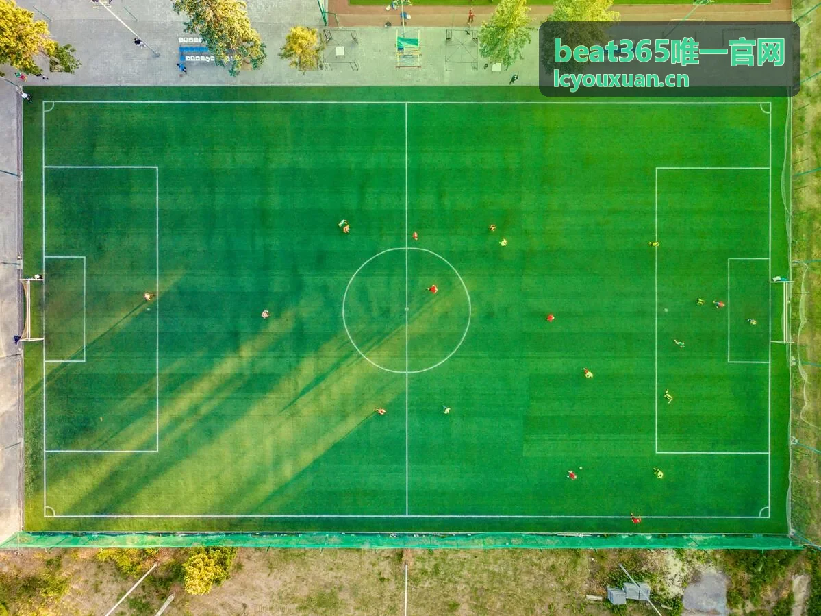 beat365唯一官网账户安全设置面板